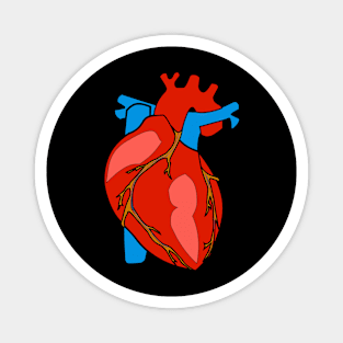 Heart Anatomy Magnet